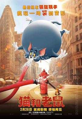 a集毛片
