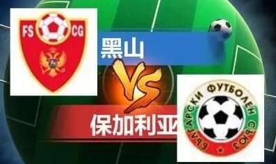 绿野仙踪林视频入口欢迎您