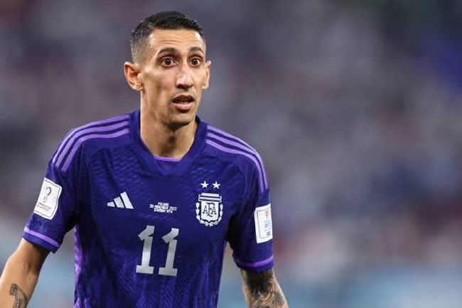 伊人久久综合热线大杳蕉下载