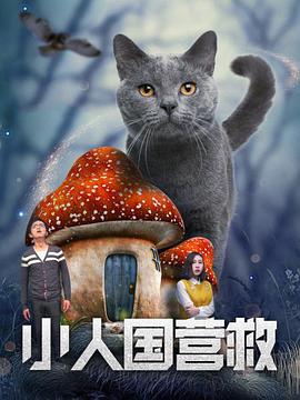 91久娇草