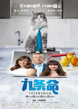 良好的执行力-替代妻子