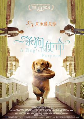 使劲灬啊灬用力灬啊灬啊灬
