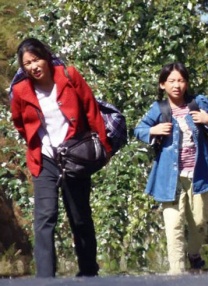 日韩一区二区在线播放
