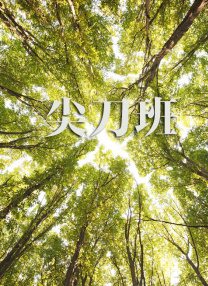 天堂福利视频