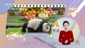 av老司机福利